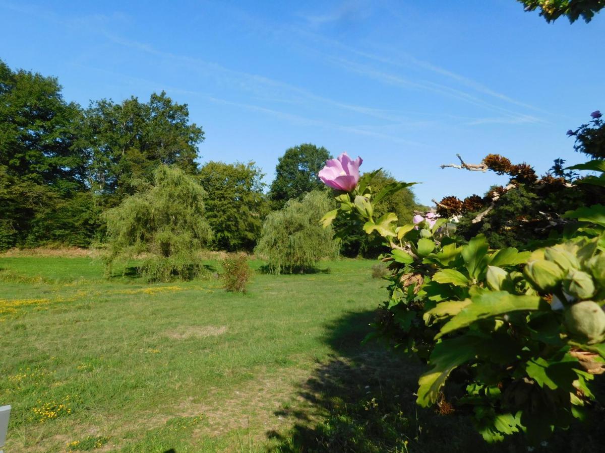 Du Coq A L'Ame Bed and Breakfast Naves  Exteriör bild